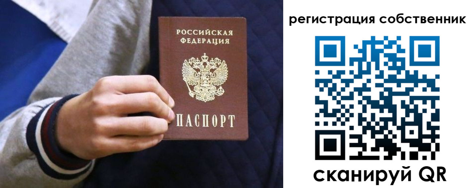 прописка поиск в Курчатове